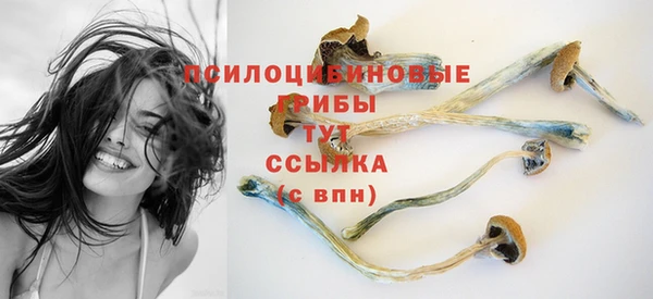 соль ск Коряжма