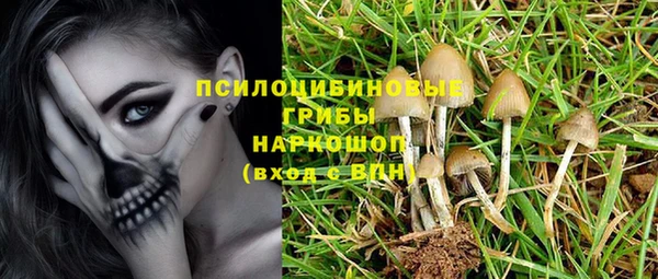 соль ск Коряжма